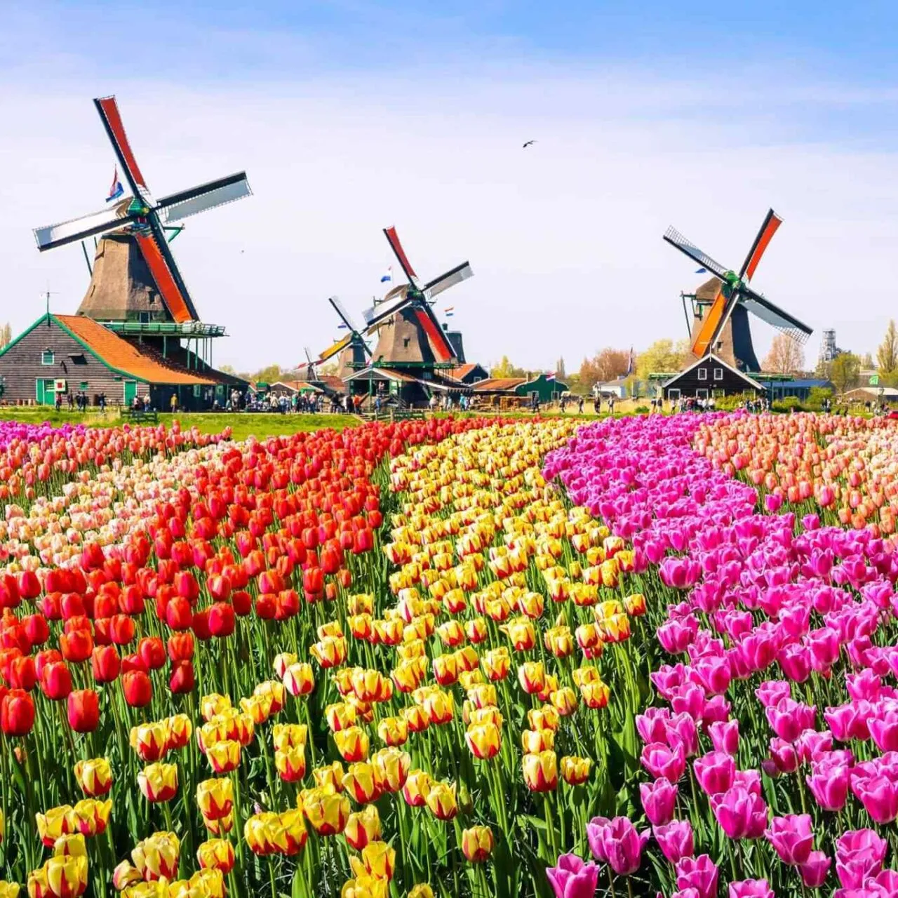 https://danbrothersceylon.com/wp-content/uploads/2018/09/destination-netherlands-01-1280x1280.webp