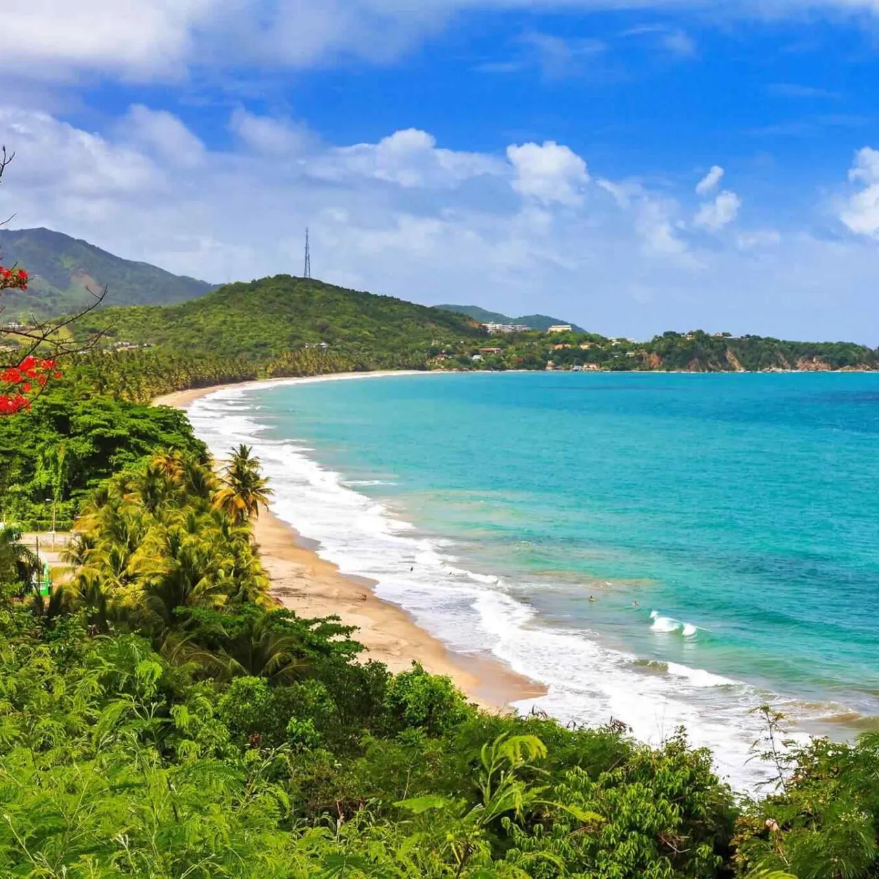 https://danbrothersceylon.com/wp-content/uploads/2018/09/destination-puerto-rico-01-1280x1280.webp