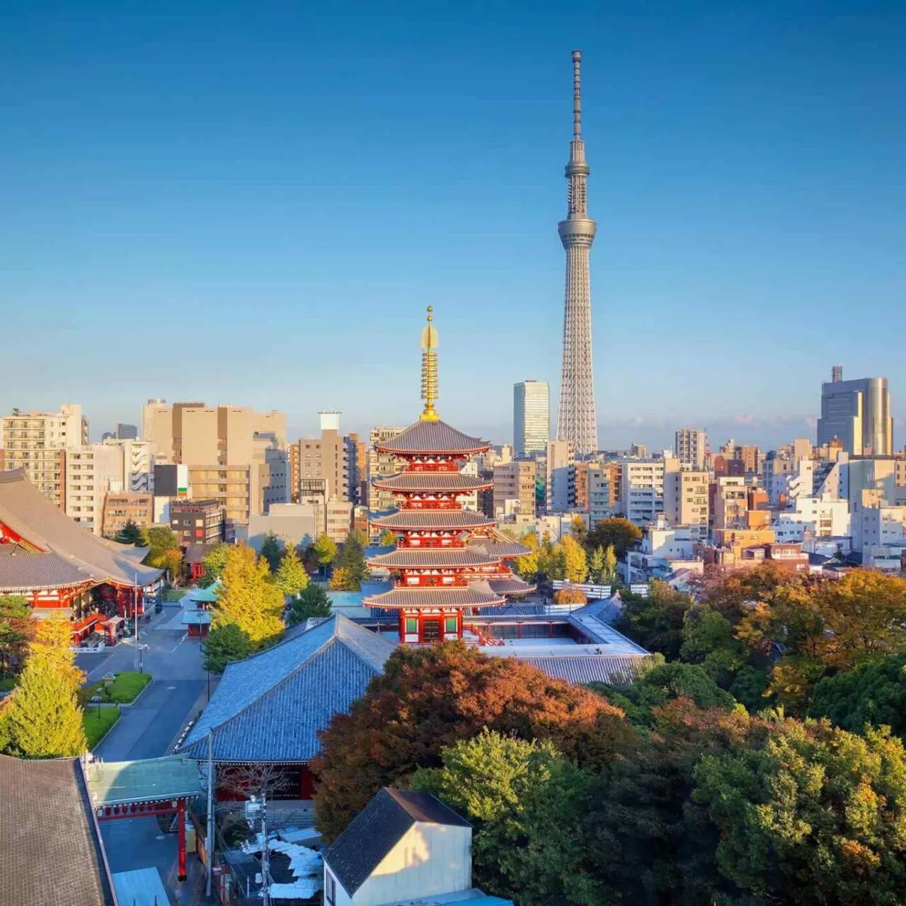 https://danbrothersceylon.com/wp-content/uploads/2018/09/destination-tokyo-04-1280x1280.webp