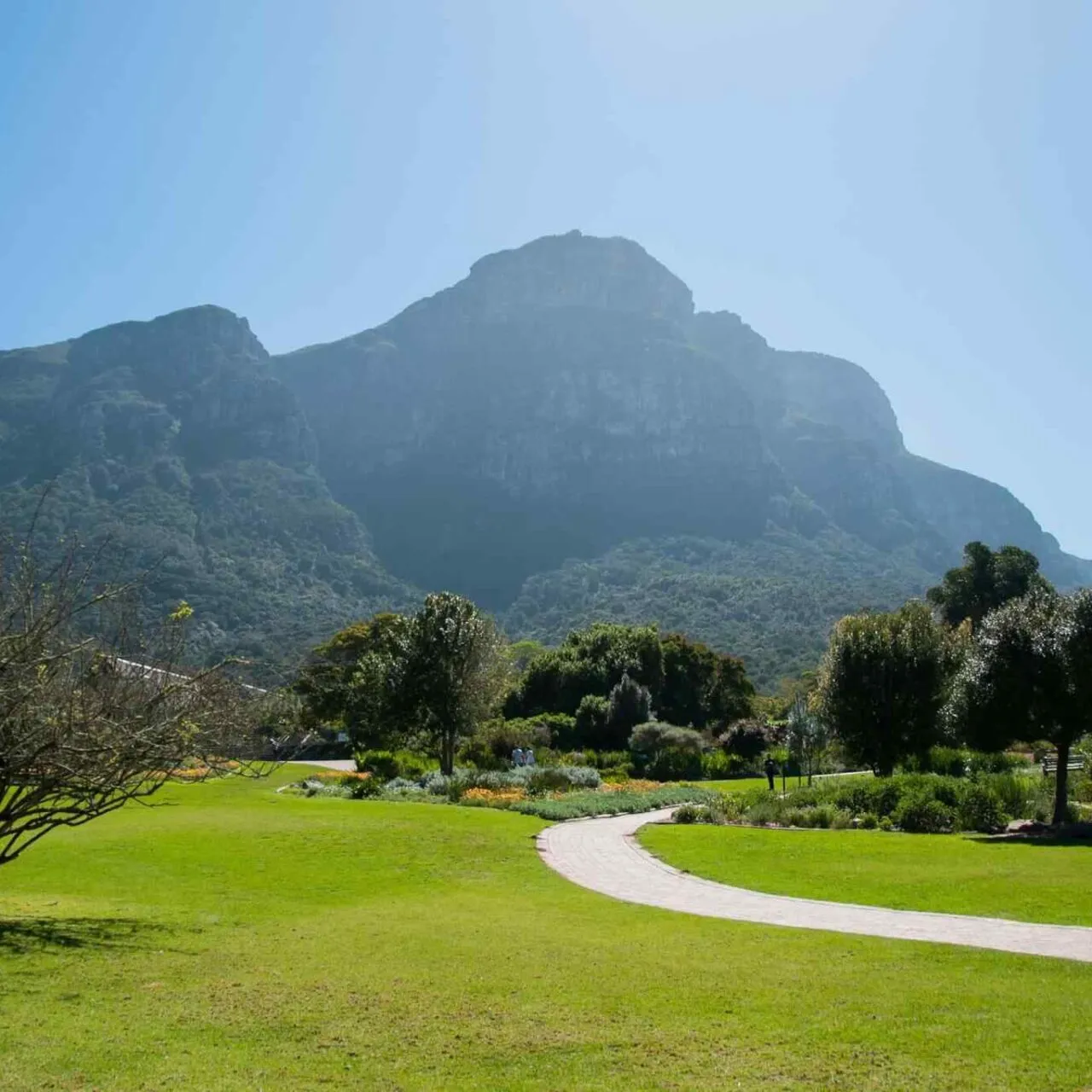 https://danbrothersceylon.com/wp-content/uploads/2018/09/tour-capetown-03-1280x1280.webp