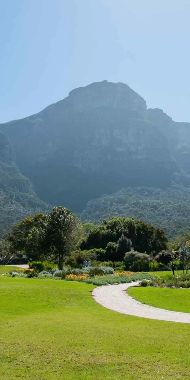 https://danbrothersceylon.com/wp-content/uploads/2018/09/tour-capetown-03-640x1280.webp