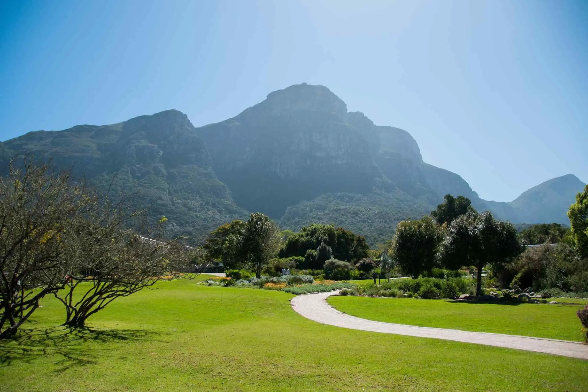 https://danbrothersceylon.com/wp-content/uploads/2018/09/tour-capetown-03.webp