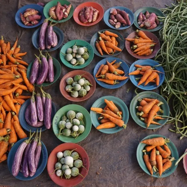 vegetables, carrots, aubergine, market, harvest, produce, fresh, habarana, sri lanka, habarana, habarana, habarana, habarana, habarana, sri lanka, sri lanka