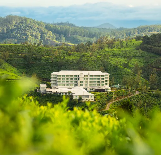 4 Days Hill Country Adventure – Misty Mountains and Tea Gardens