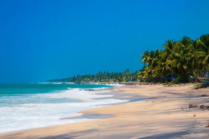 Best of Sri Lanka in 10 Days – Culture, Nature, Adventure, and Beaches