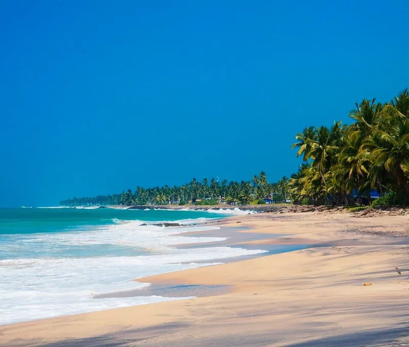 Best of Sri Lanka in 10 Days – Culture, Nature, Adventure, and Beaches