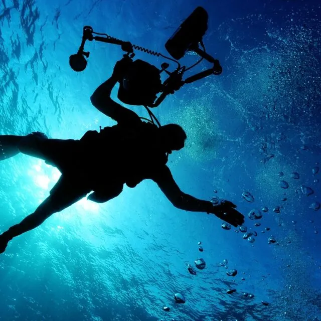 scuba diving, swimming, sea, ocean, water, underwater, underwater diving, nature, diver, diving, recreational activity