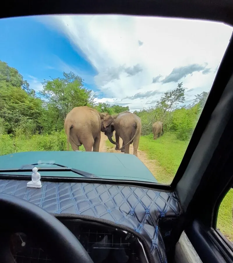 5 Days / 4 Nights – Adventure Tour