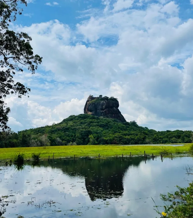 Colombo/Negombo to Sigiriya and Wildlife safari Tour- 01night/02Days ( Adventure Wildlife private tour)