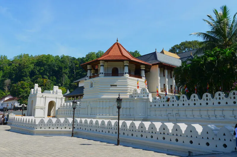 One-Day Tour: Kandy Cultural and Nature Experience