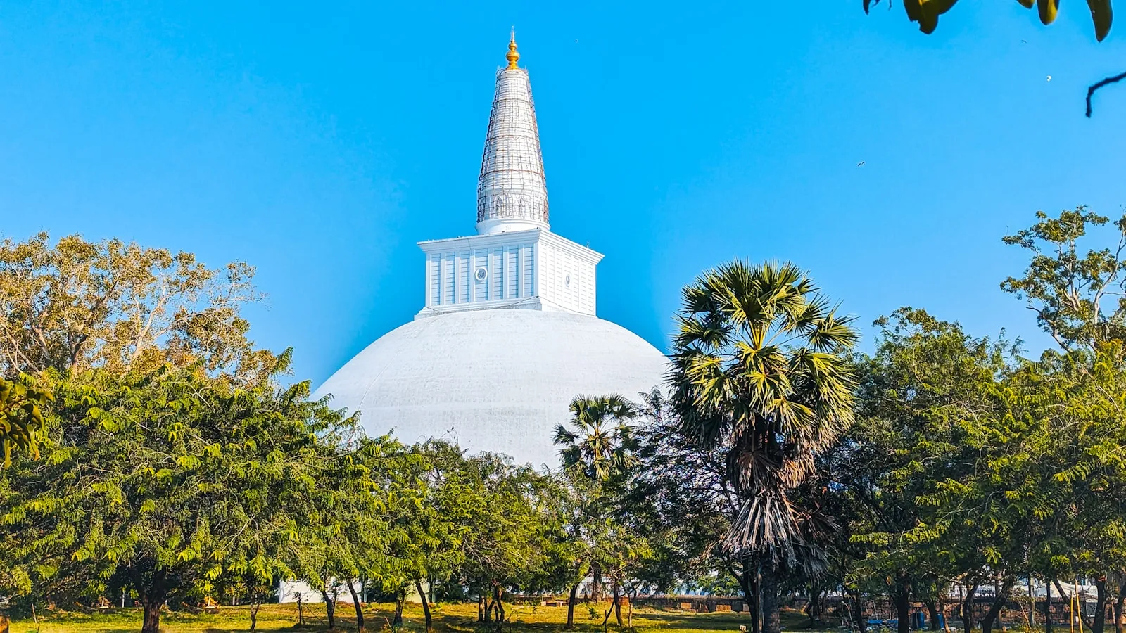Photo by Ishan Kahapola Arachchi a large white building surrounded by trees on a sunny day
