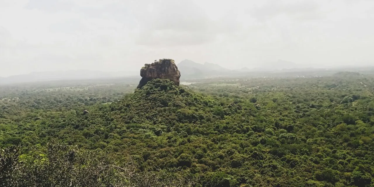 Colombo/Negombo to Sigiriya and Wildlife safari Tour- 01night/02Days ( All-inclusive private tour)