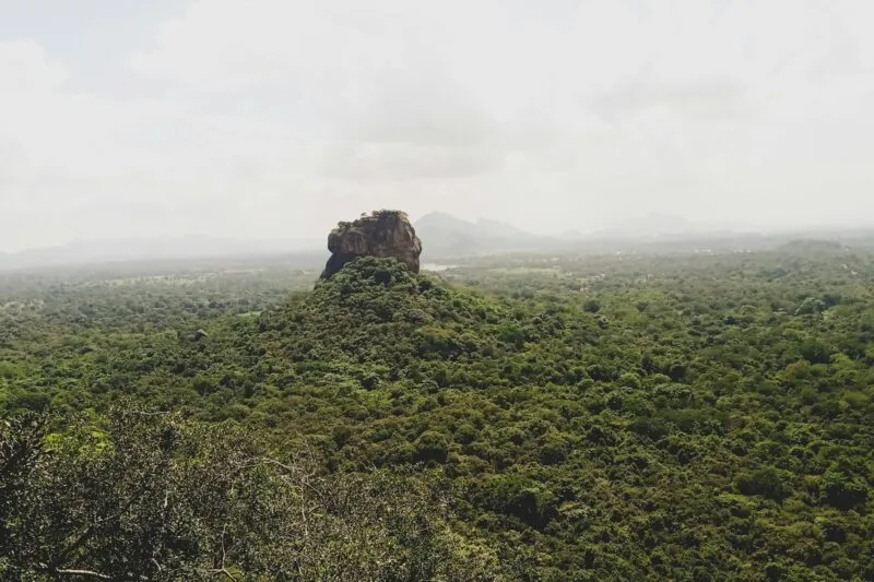 One-Day Tour: Sigiriya Rock Fortress & Dambulla Cave Temple