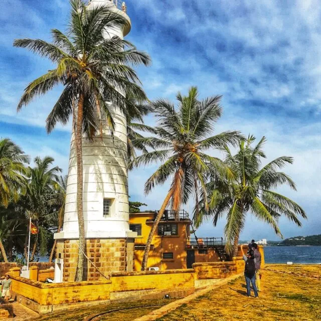 a man standing next to a palm tree near the ocean