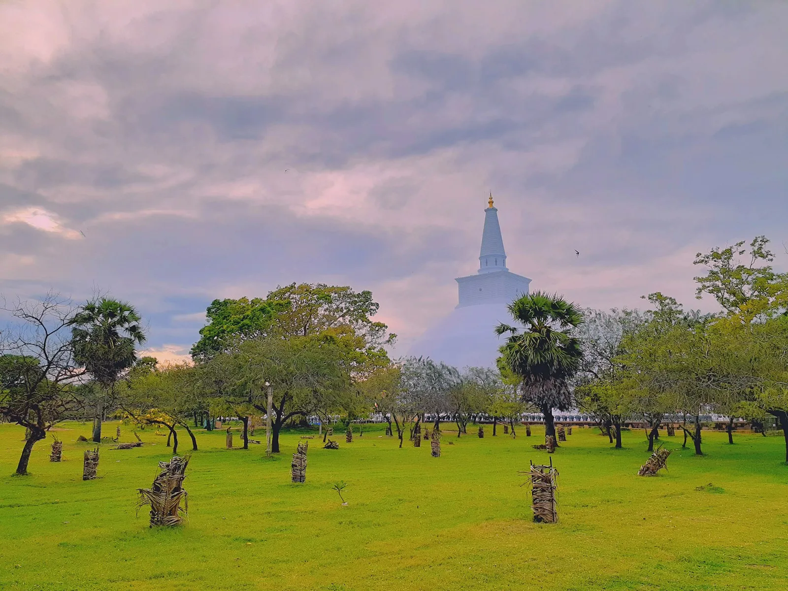 Photo by Izuru Kannagara green grass field with trees under white clouds during daytime