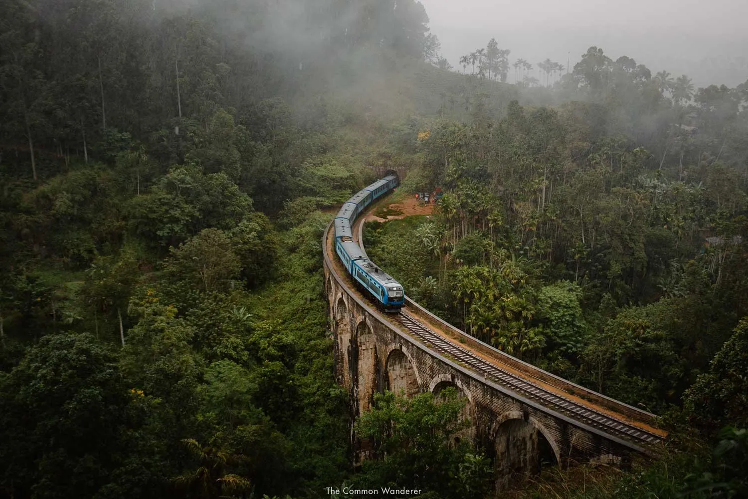 The+Common+Wanderer-9888 The+Common+Wanderer-9888